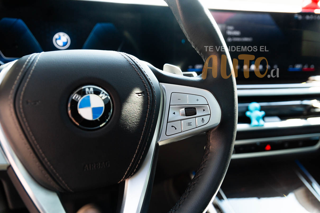 BMW X7 — foto 14 de 19