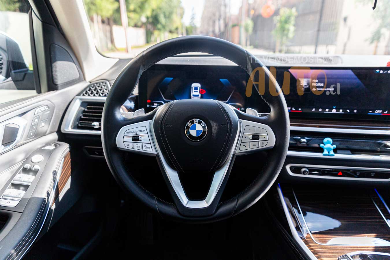 BMW X7 — foto 19 de 19
